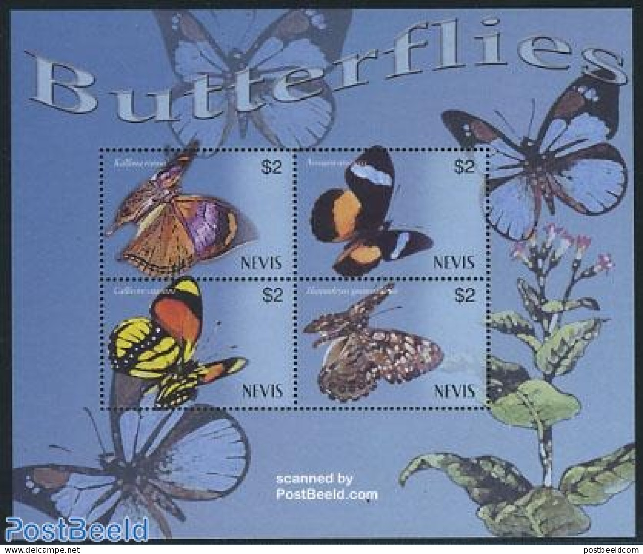 Nevis 2003 Butterflies 4v M/s, Kallima Rumia, Mint NH, Nature - Butterflies - St.Kitts Y Nevis ( 1983-...)