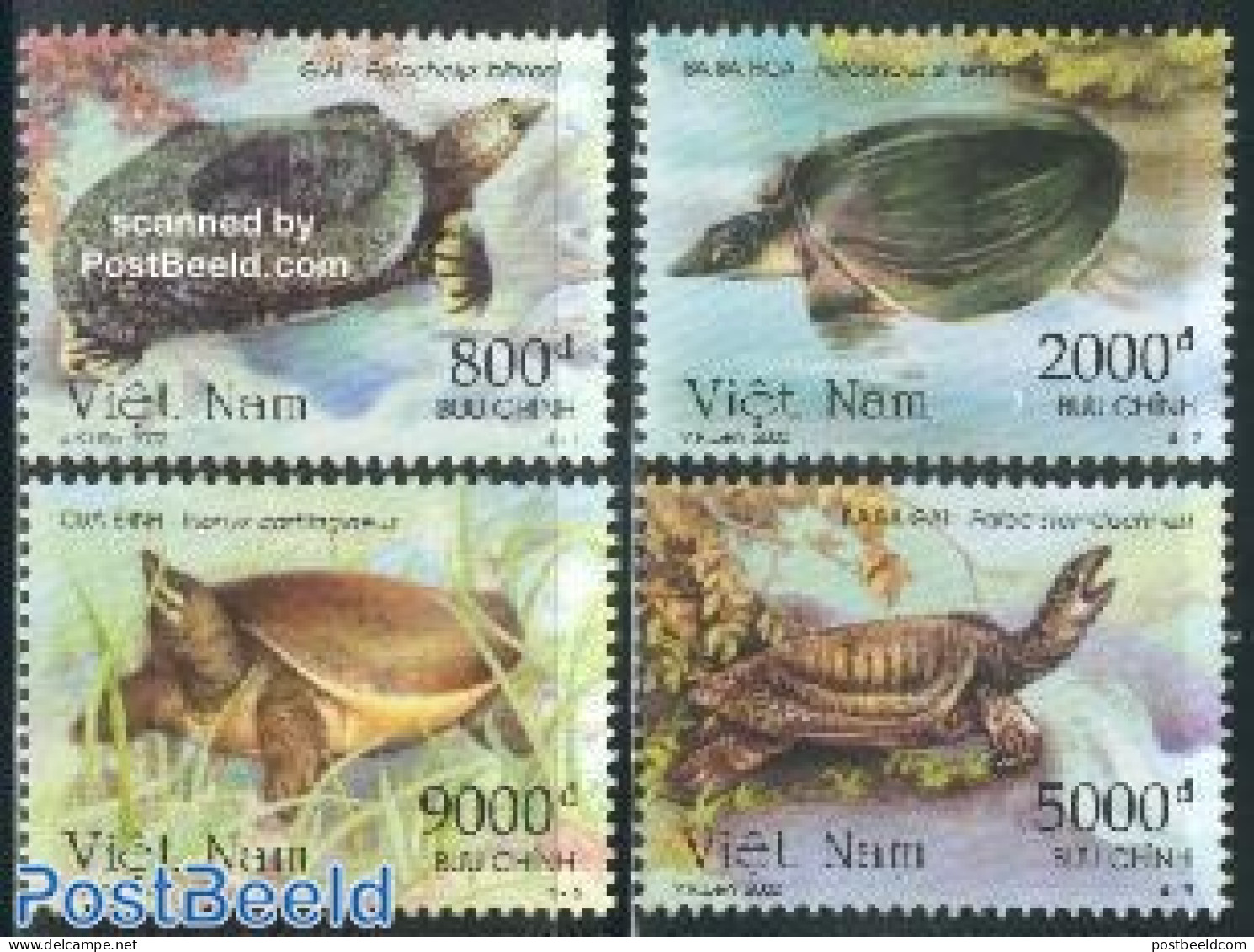 Vietnam 2002 Turtles 4v, Mint NH, Nature - Reptiles - Turtles - Sonstige & Ohne Zuordnung