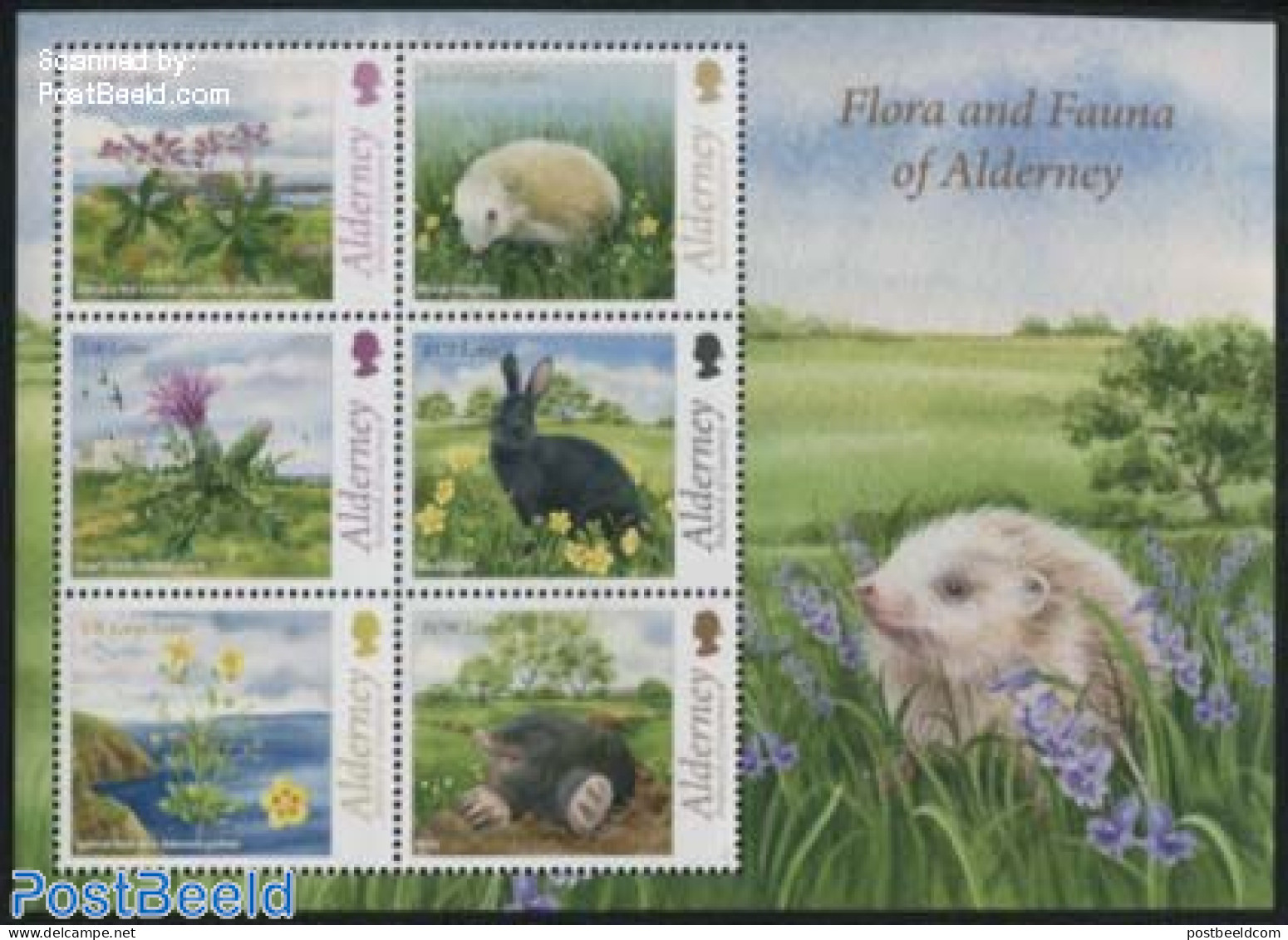 Alderney 2015 Flora & Fauna S/s, Mint NH, Nature - Animals (others & Mixed) - Flowers & Plants - Hedgehog - Rabbits / .. - Alderney