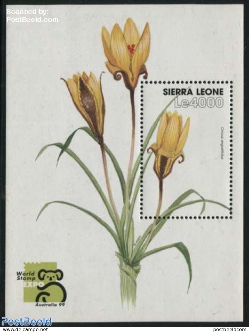 Sierra Leone 1999 Crocus Angustifollus S/s, Mint NH, Nature - Flowers & Plants - Sonstige & Ohne Zuordnung