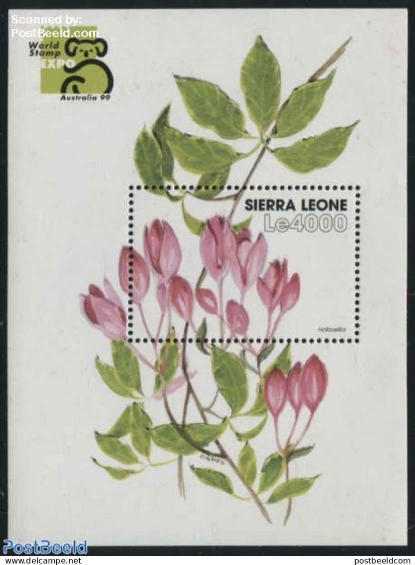 Sierra Leone 1999 Holboellia S/s, Mint NH, Nature - Flowers & Plants - Sonstige & Ohne Zuordnung