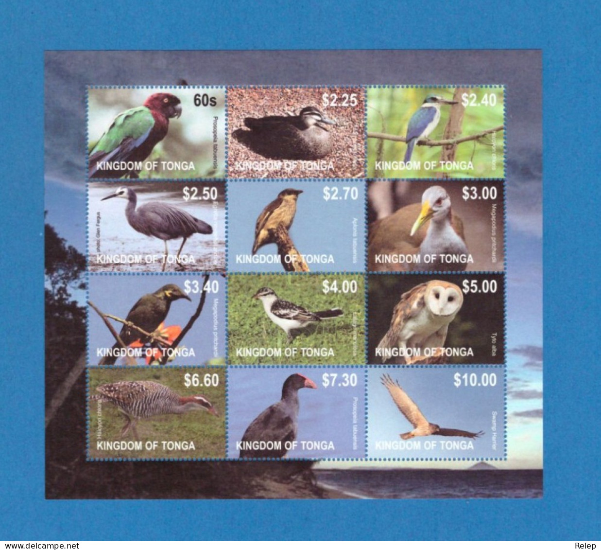 2012 Birds - Without White Frame -block Of 12 Values Quote €60.00 -MNH- - Tonga (1970-...)