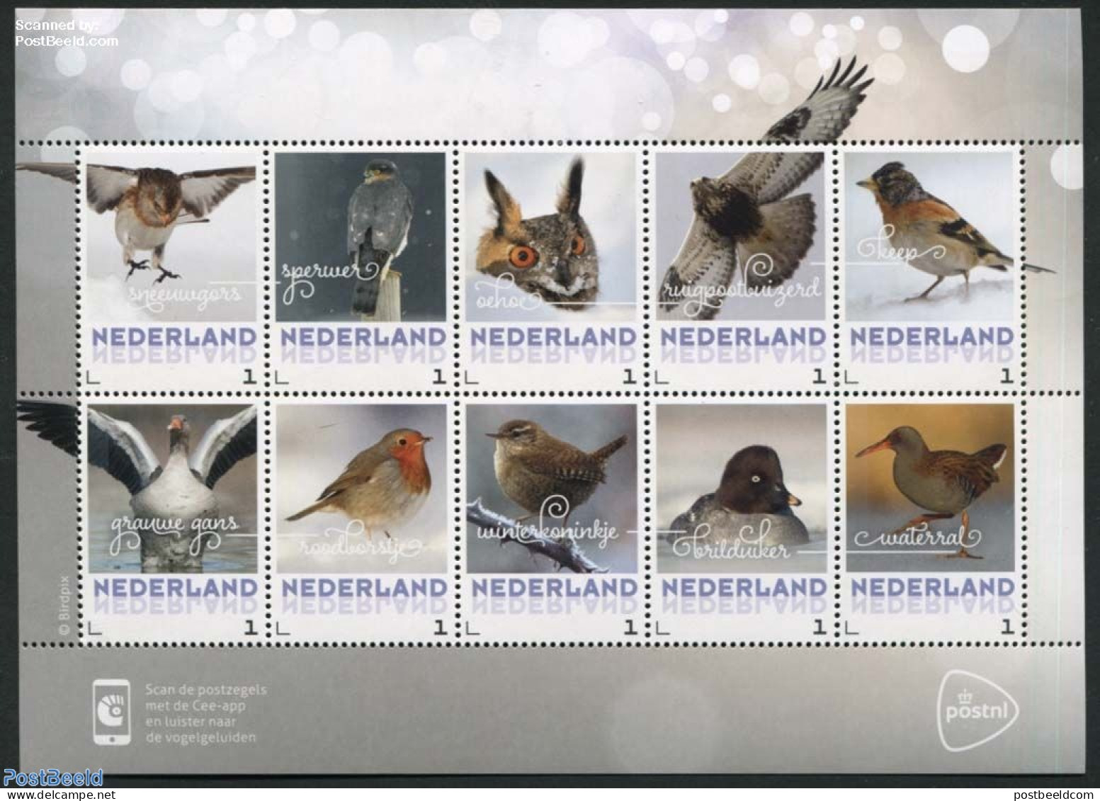 Netherlands - Personal Stamps TNT/PNL 2017 Birds In Winter 10v M/s S-a, Mint NH, Nature - Birds - Owls - Sonstige & Ohne Zuordnung