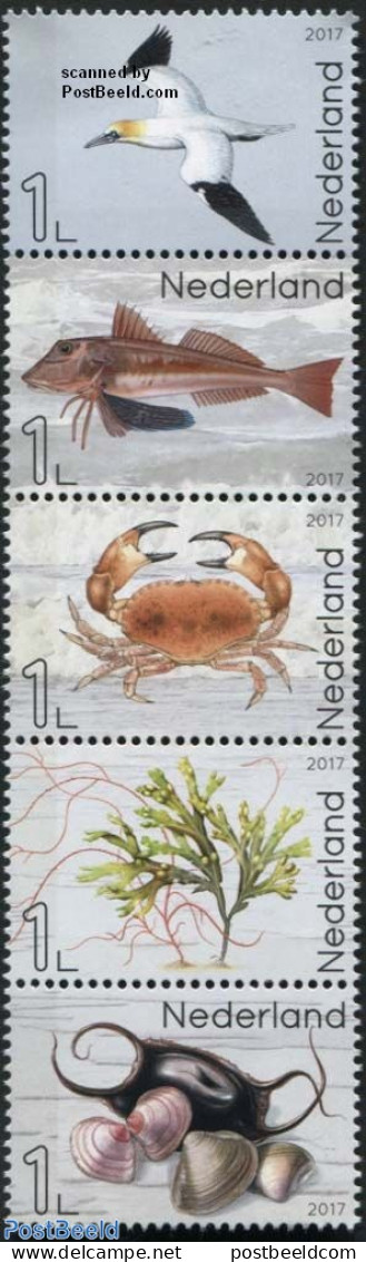 Netherlands 2017 Life In The North Sea 5v [::::], Mint NH, Nature - Birds - Fish - Shells & Crustaceans - Crabs And Lo.. - Unused Stamps