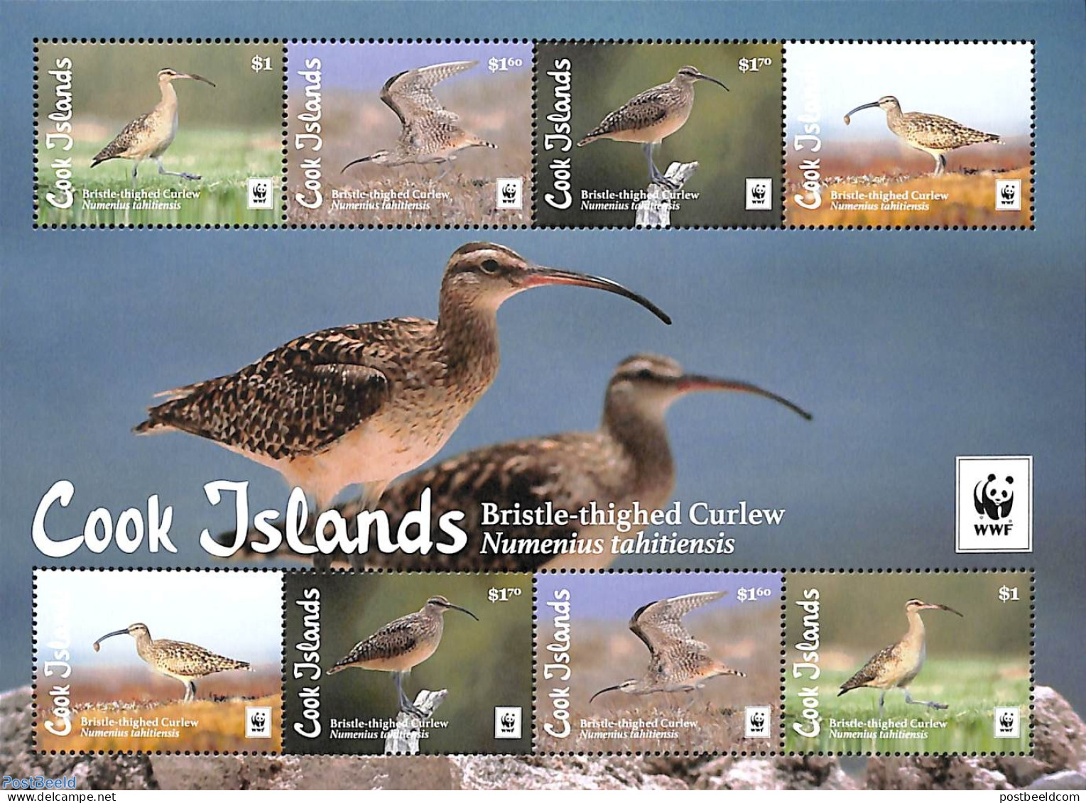 Cook Islands 2017 WWF, Birds M/s, Mint NH, Nature - Birds - World Wildlife Fund (WWF) - Sonstige & Ohne Zuordnung