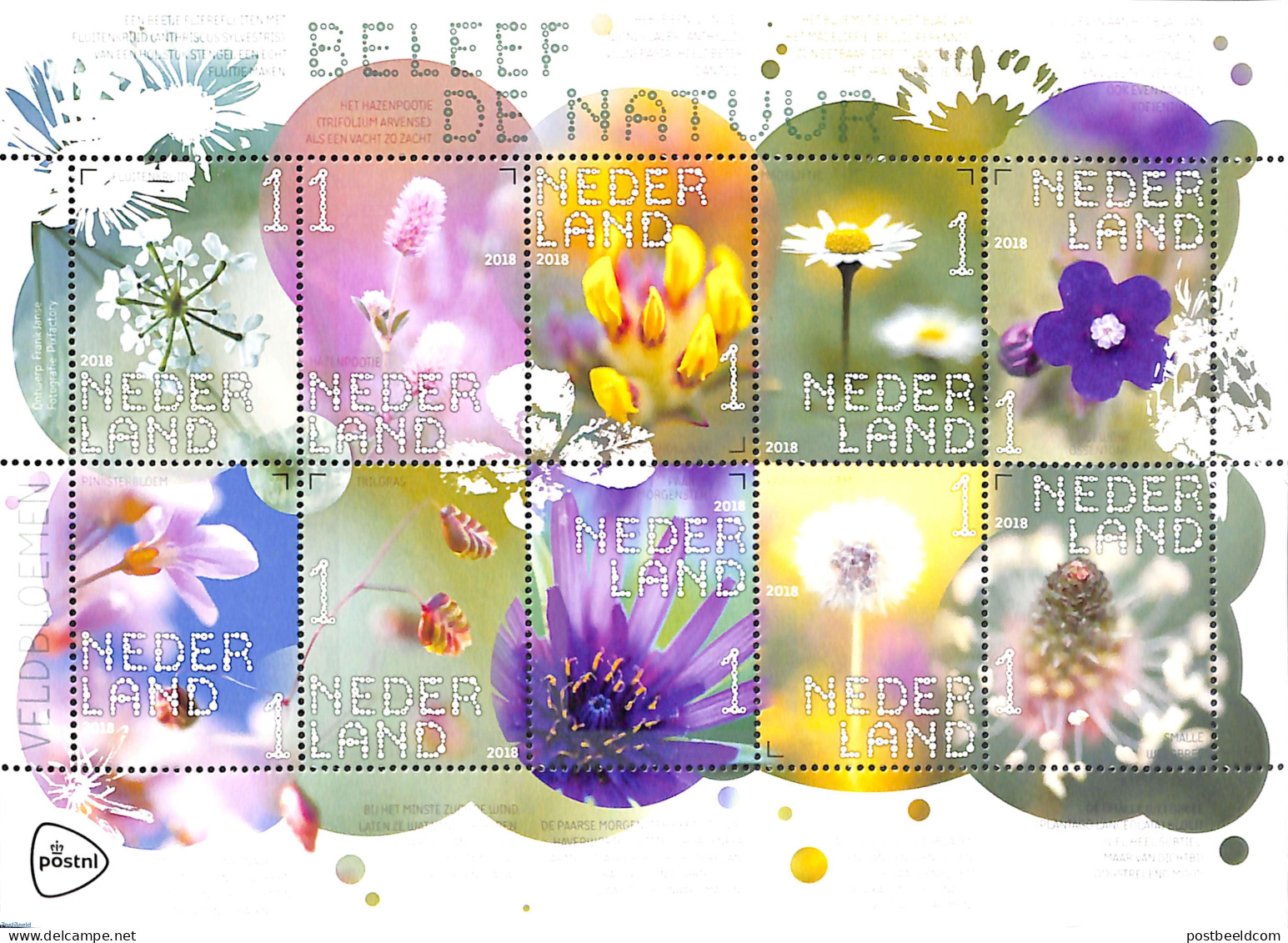 Netherlands 2018 Flowers In The Field 10v M/s S-a, Mint NH, Nature - Flowers & Plants - Ongebruikt