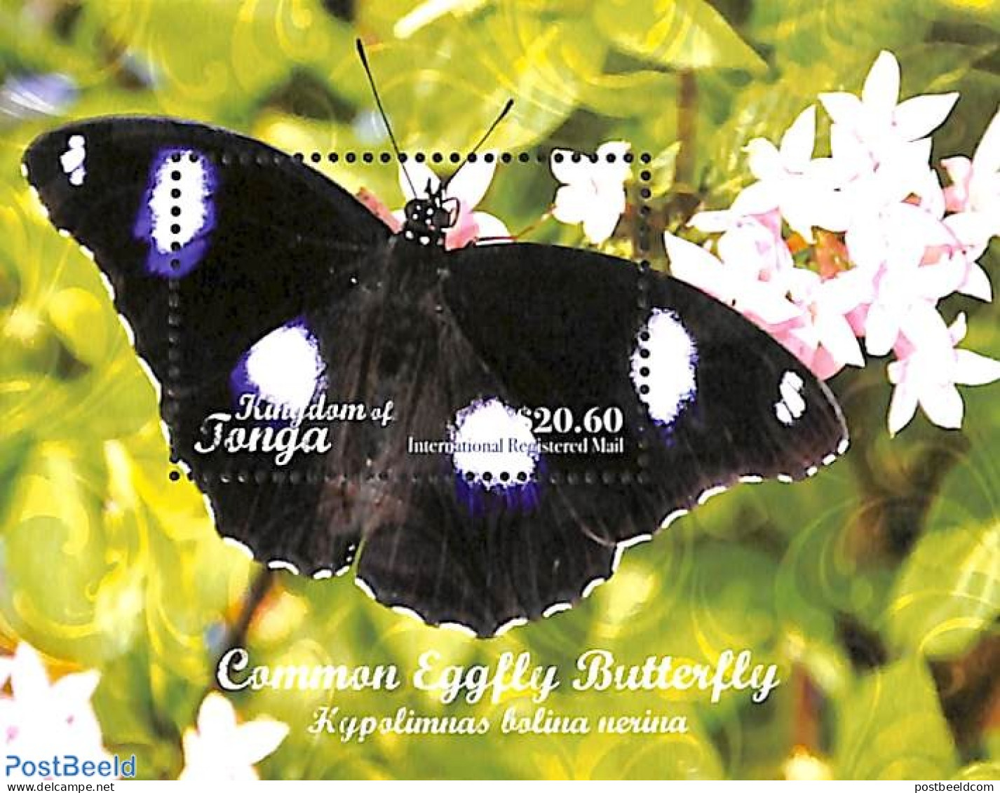 Tonga 2018 Common Eggfly Butterfly $20.60 S/s, Mint NH, Nature - Animals (others & Mixed) - Butterflies - Sonstige & Ohne Zuordnung