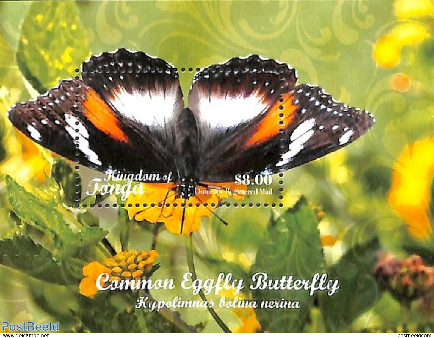 Tonga 2018 Common Eggfly Butterfly S/s, Mint NH, Nature - Animals (others & Mixed) - Butterflies - Sonstige & Ohne Zuordnung