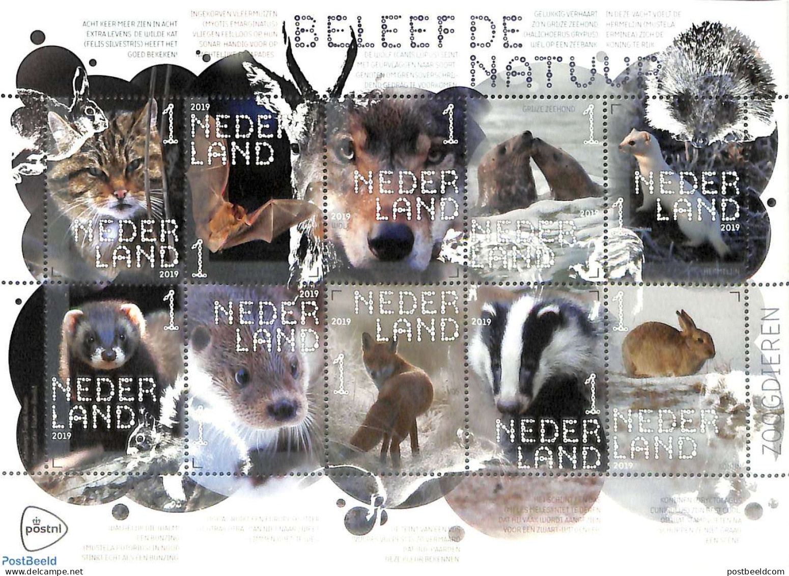 Netherlands 2019 Animals 10v M/s S-a, Mint NH, Nature - Animals (others & Mixed) - Bats - Cats - Hedgehog - Rabbits / .. - Unused Stamps
