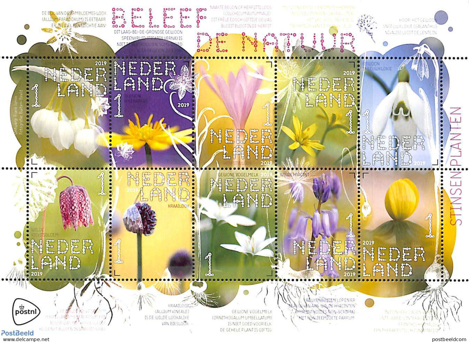 Netherlands 2019 Nature, Stin Plants 10v M/s S-a, Mint NH, Nature - Flowers & Plants - Unused Stamps