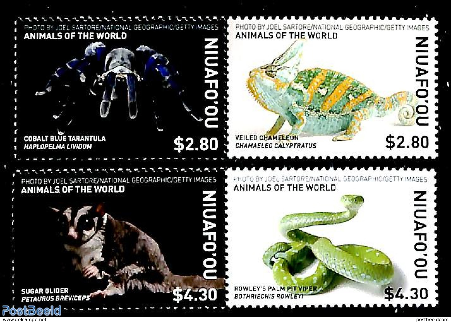 Niuafo'ou 2019 Animals 4v (2x[:]), Mint NH, Nature - Animals (others & Mixed) - Reptiles - Snakes - Sonstige & Ohne Zuordnung