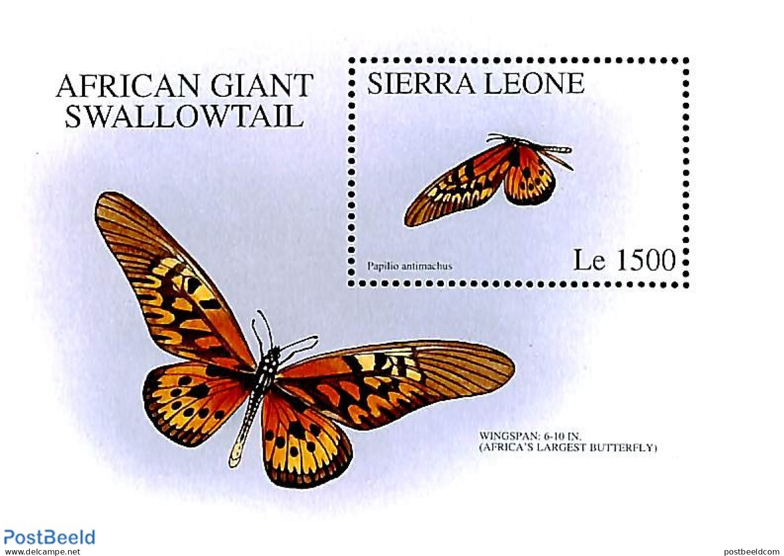 Sierra Leone 1996 Papilio Antimachus S/s, Mint NH - Autres & Non Classés