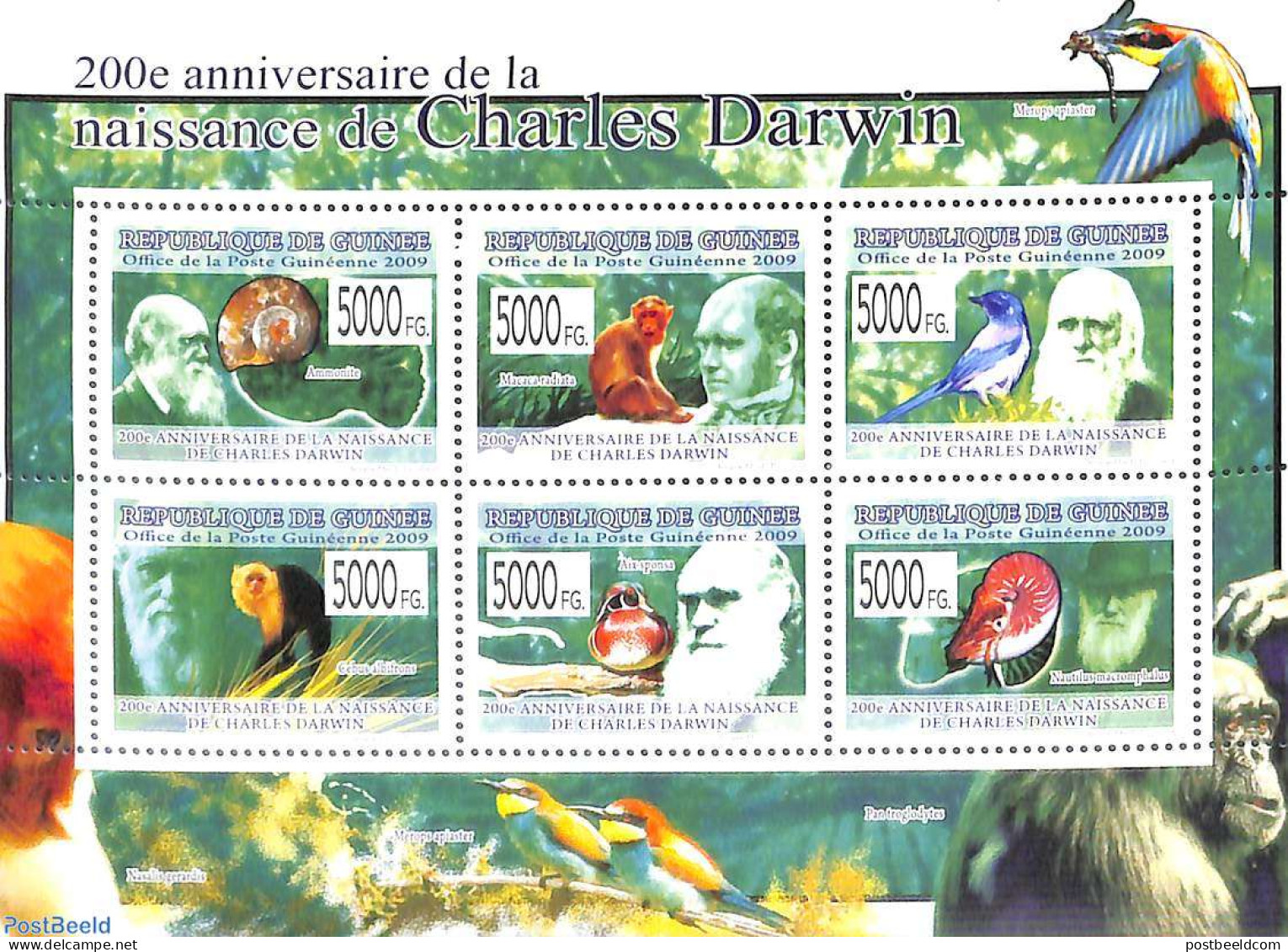 Guinea, Republic 2009 Charles Darwin 6v M/s, Mint NH, Nature - Birds - Monkeys - Orchids - Shells & Crustaceans - Meereswelt