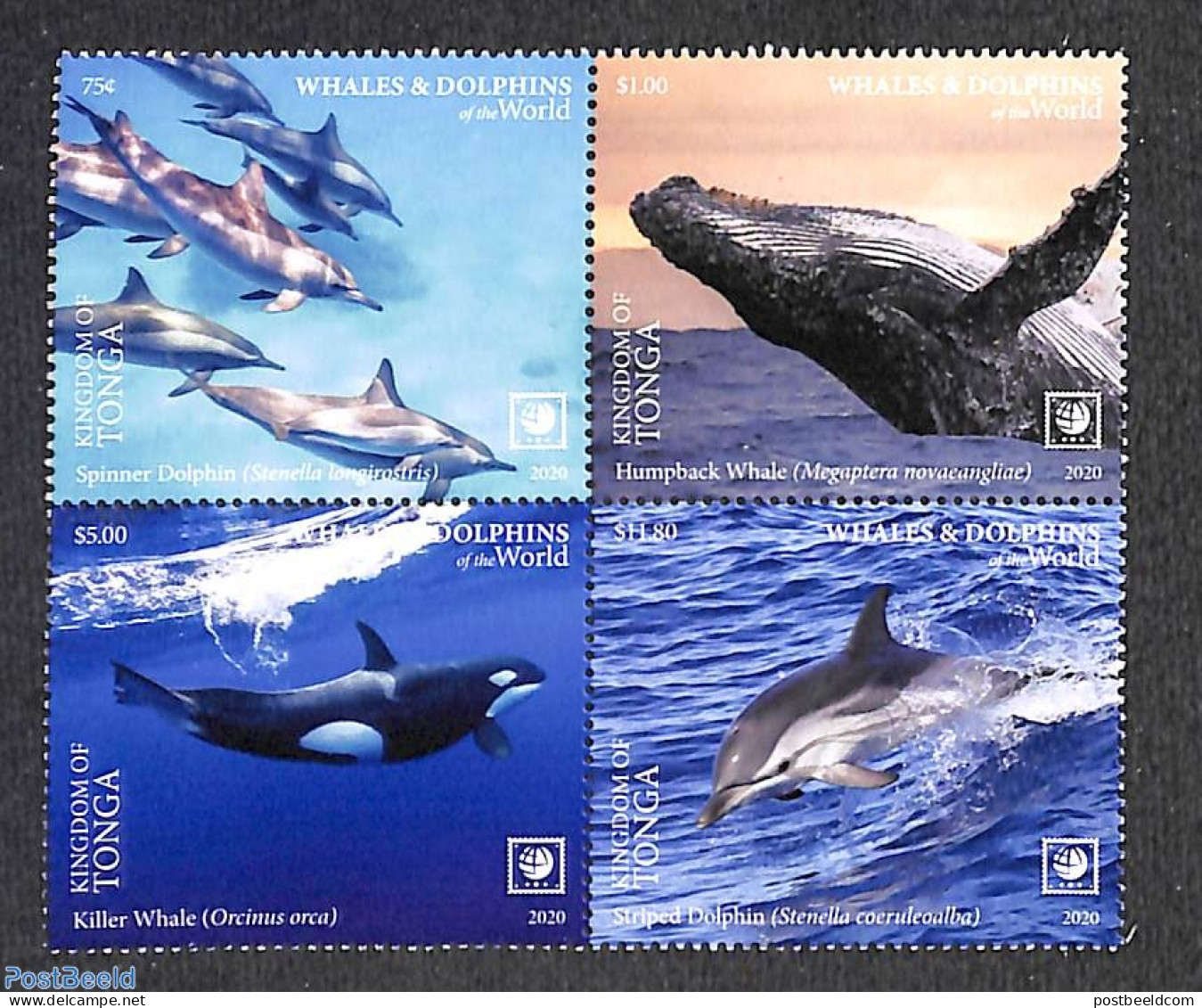 Tonga 2020 Whales And Dolphins 4v [+] (with Coloured Borders), Mint NH, Nature - Sea Mammals - Sonstige & Ohne Zuordnung