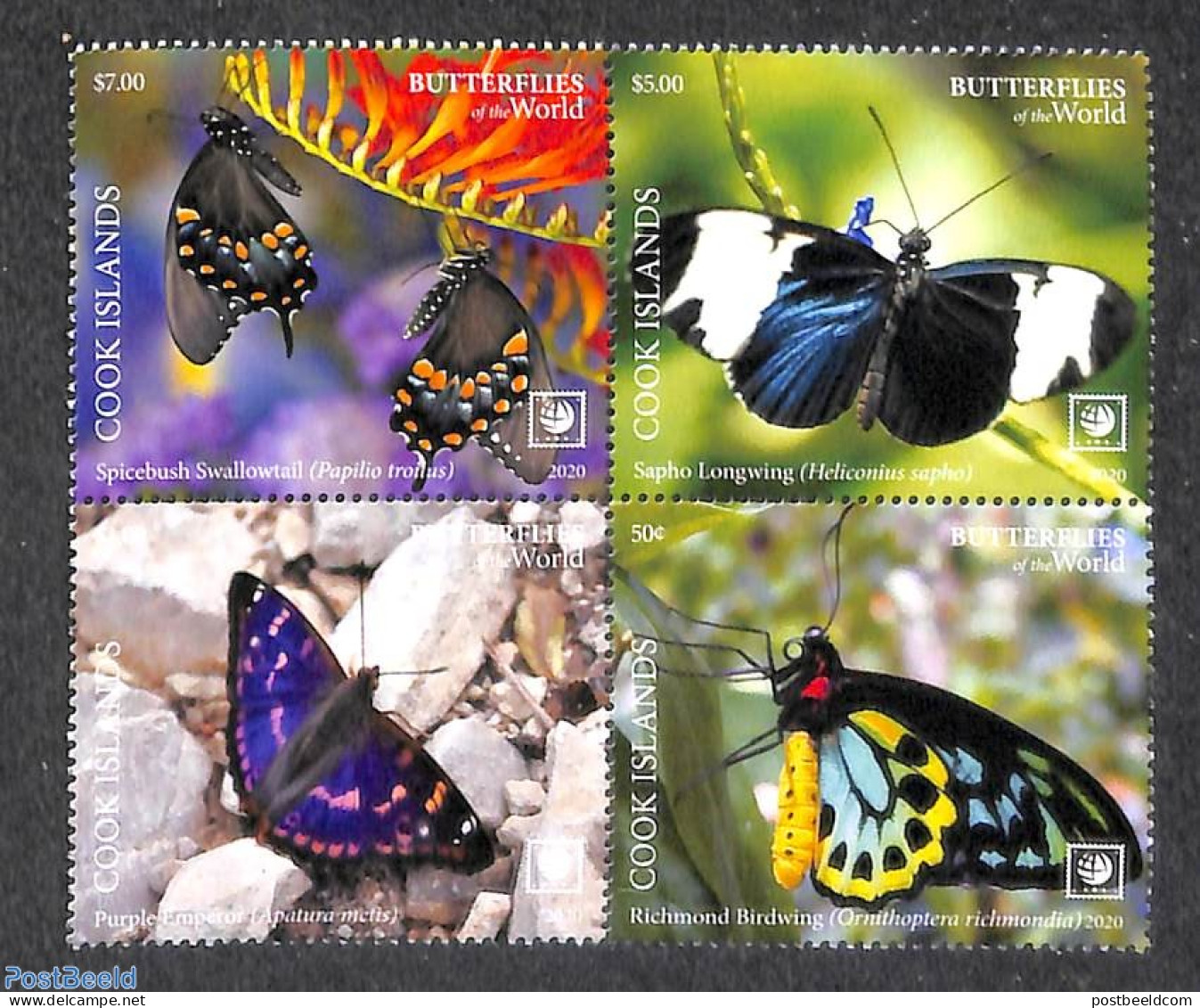Cook Islands 2020 Butterflies 4v [+] (coloured Borders), Mint NH, Nature - Butterflies - Sonstige & Ohne Zuordnung