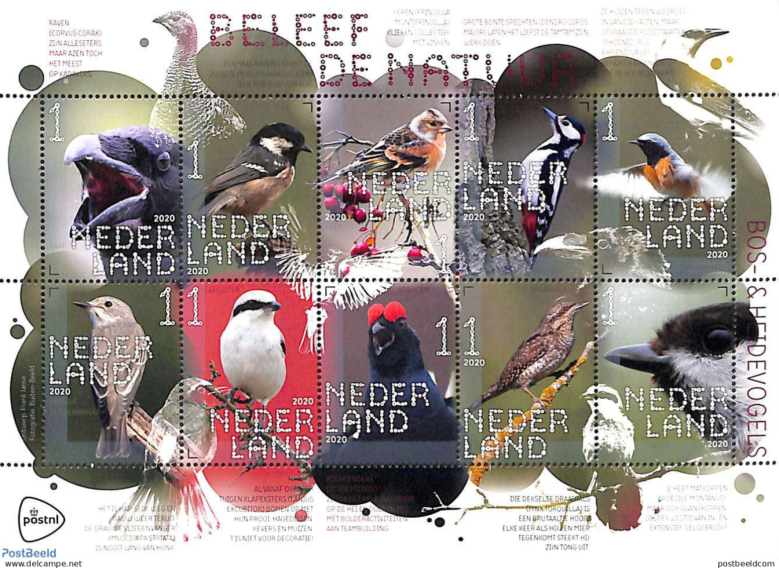 Netherlands 2020 Birds Of The Forest And Moor 10v M/s S-a, Mint NH, Nature - Birds - Nuevos