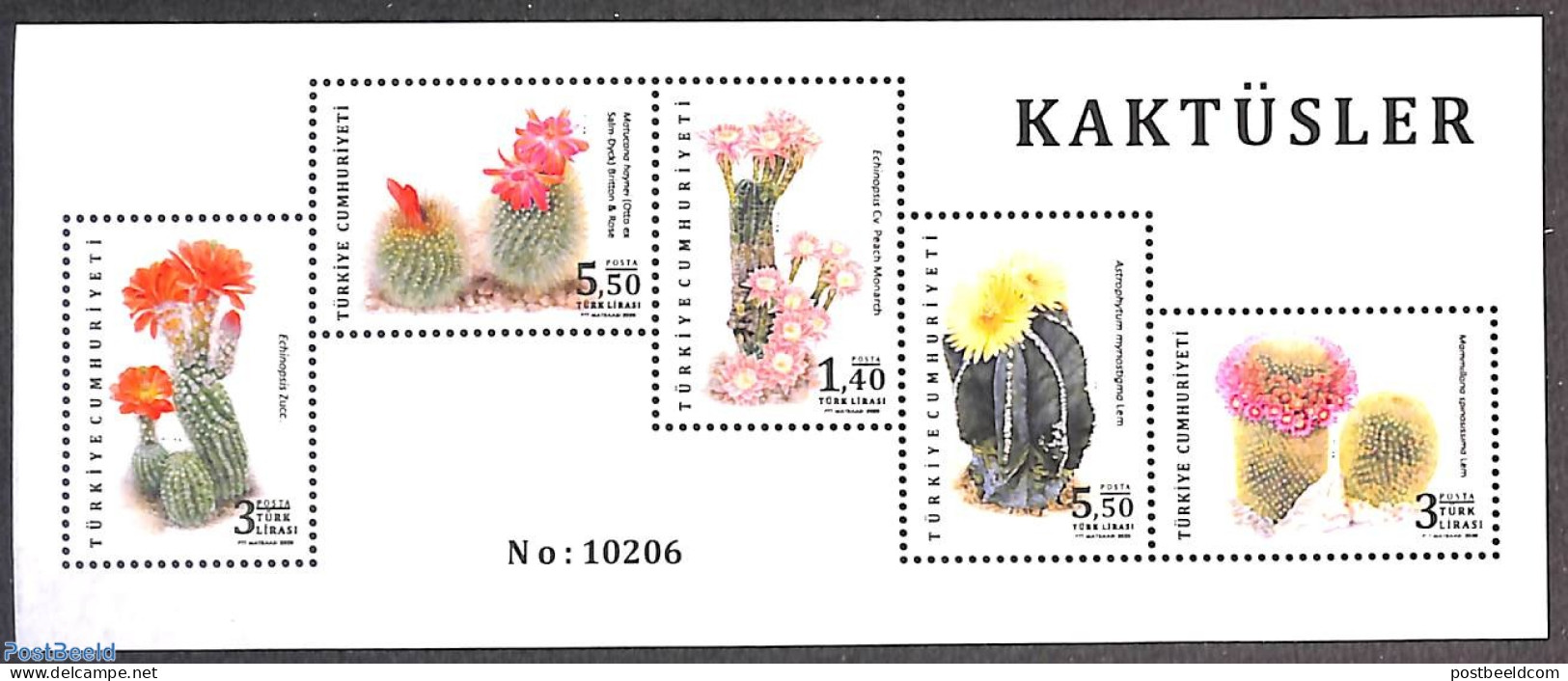 Türkiye 2020 Cactus S/s, Mint NH, Nature - Cacti - Flowers & Plants - Other & Unclassified