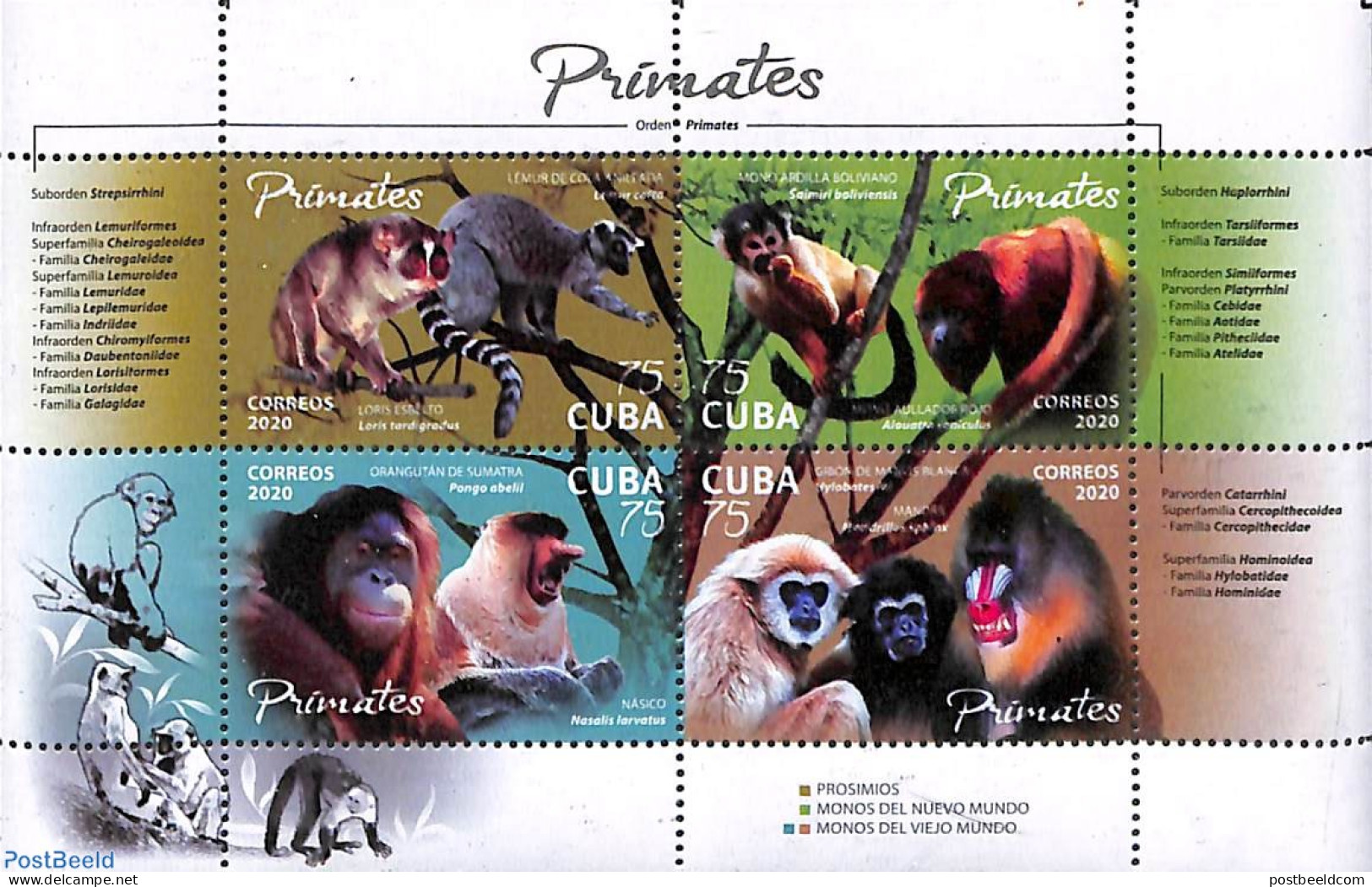 Cuba 2020 Primates 4v M/s, Mint NH, Nature - Animals (others & Mixed) - Monkeys - Wild Mammals - Ungebraucht