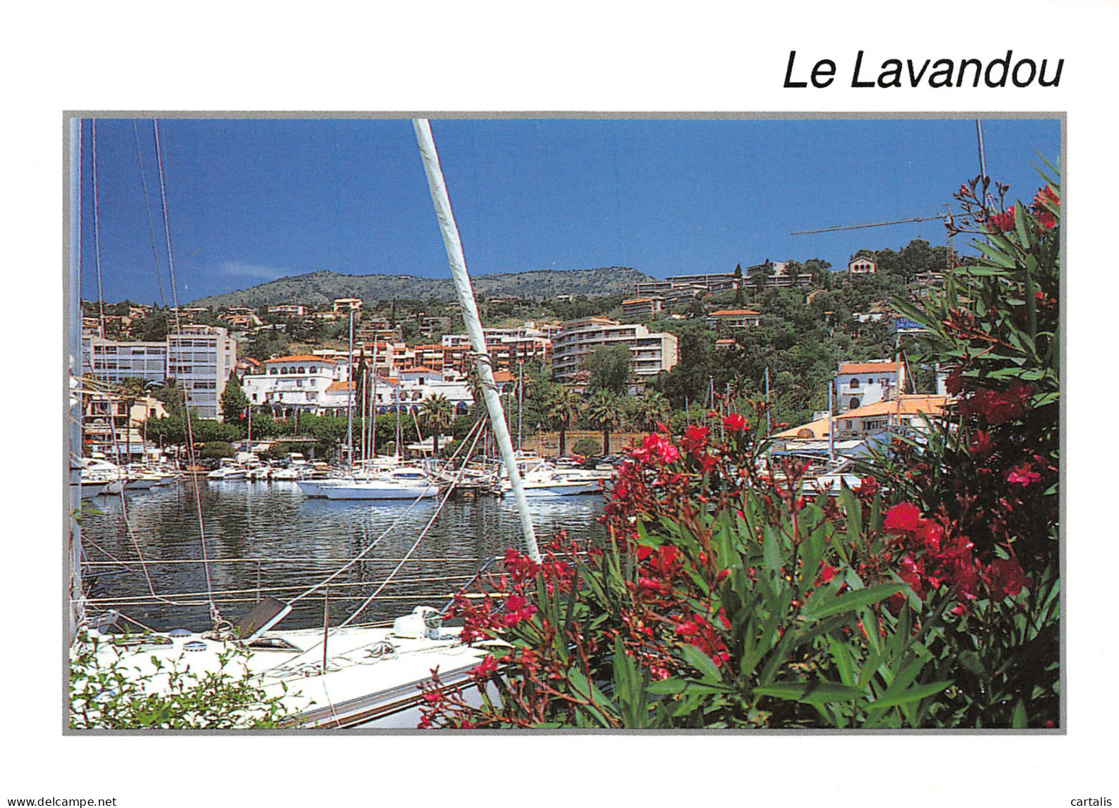 83-LE LAVANDOU-N°C4084-B/0327 - Le Lavandou