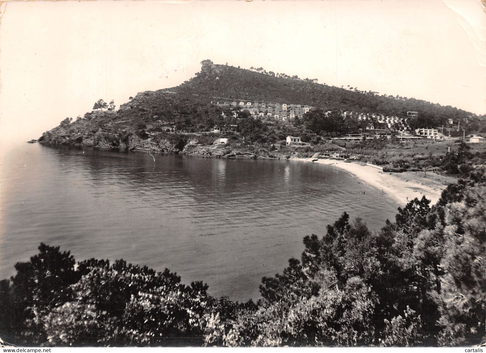 83-LE LAVANDOU-N°C4084-B/0247 - Le Lavandou