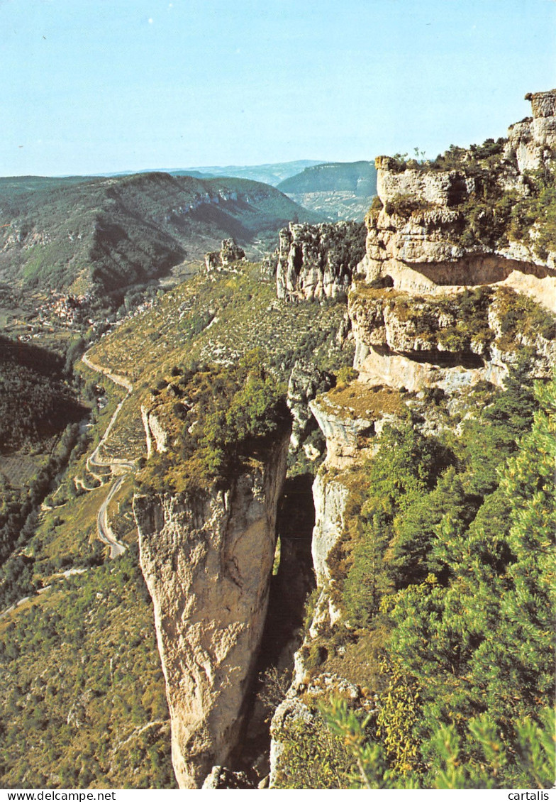 48-GORGES DE LA JONTE-N°C4088-C/0021 - Sonstige & Ohne Zuordnung