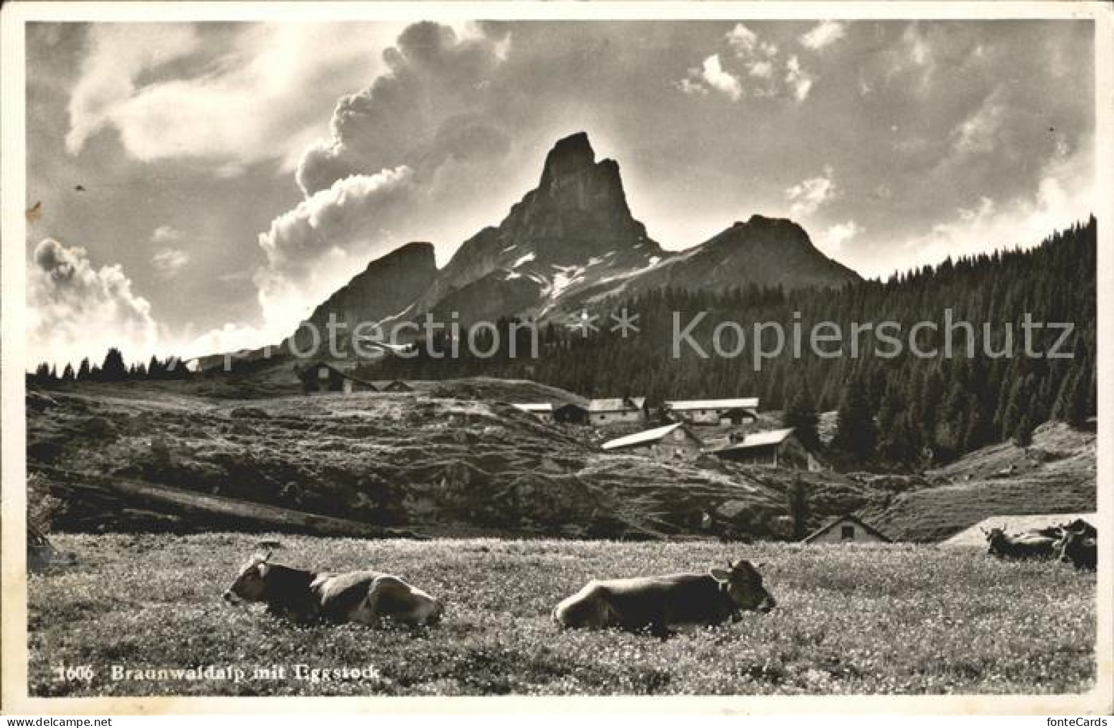 11758748 Braunwald GL Kuehe Alp Mit Eggstock Braunwald - Andere & Zonder Classificatie