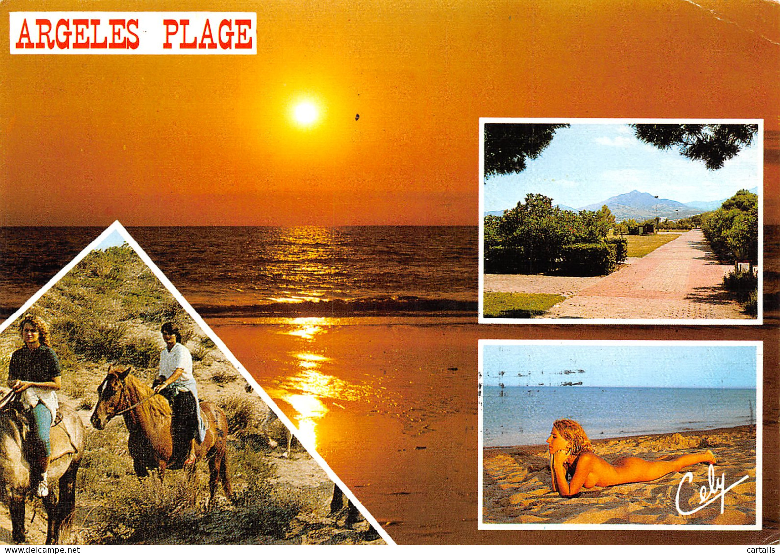 66-ARGELES PLAGE-N°C4089-C/0279 - Argeles Sur Mer