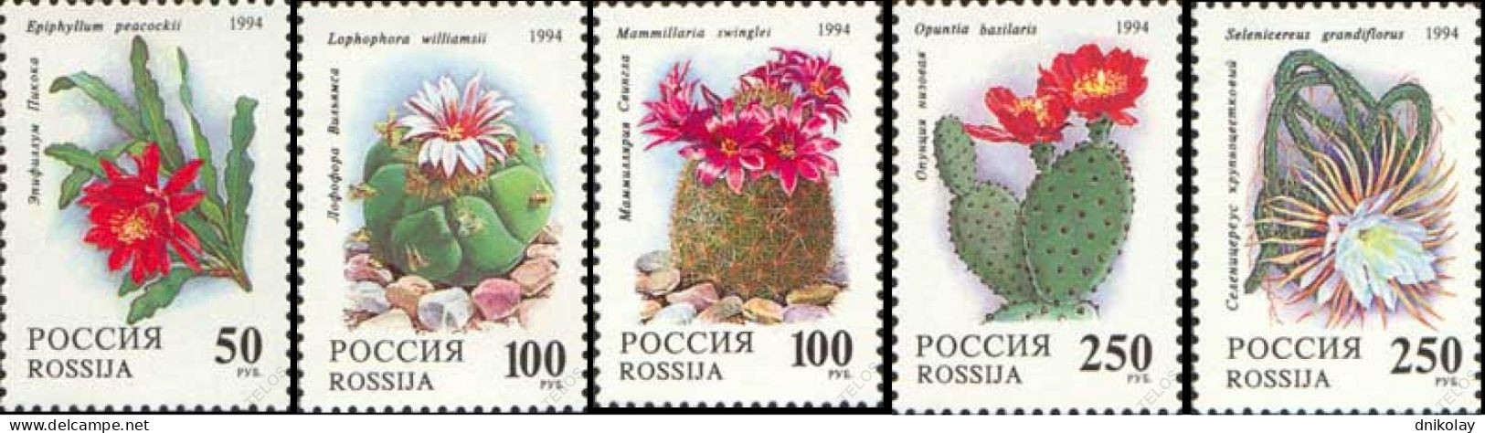 1994 356 Russia Cactuses MNH - Ungebraucht