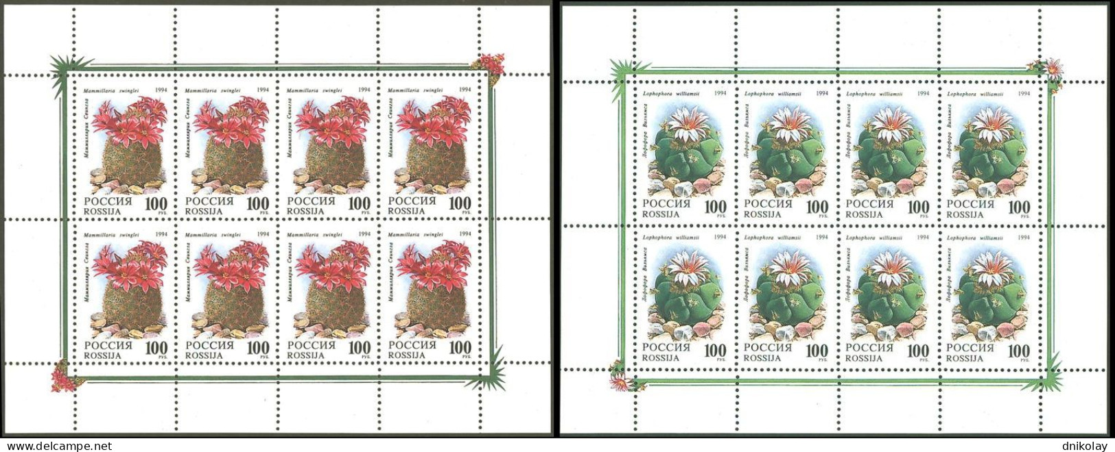 1994 356 Russia Cactuses MNH - Unused Stamps