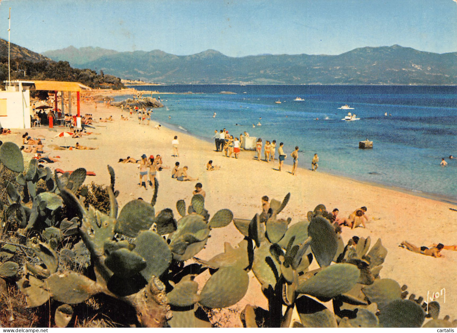 20-LA CORSE AJACCIO-N°C4090-C/0229 - Other & Unclassified