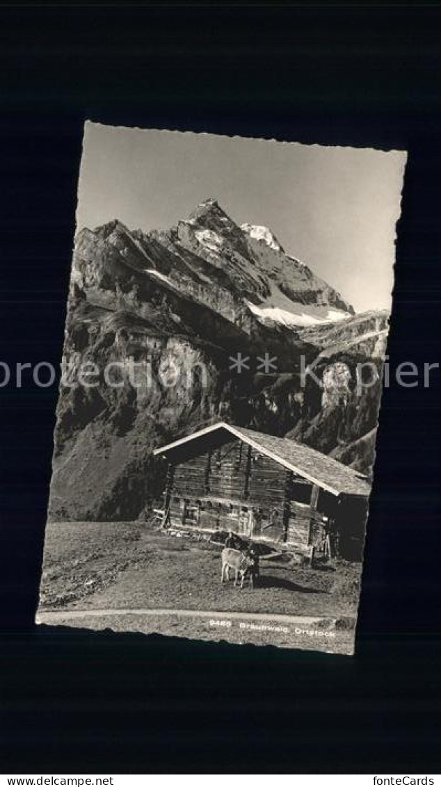 11758628 Braunwald GL Berghuette Kuh Braunwald - Other & Unclassified