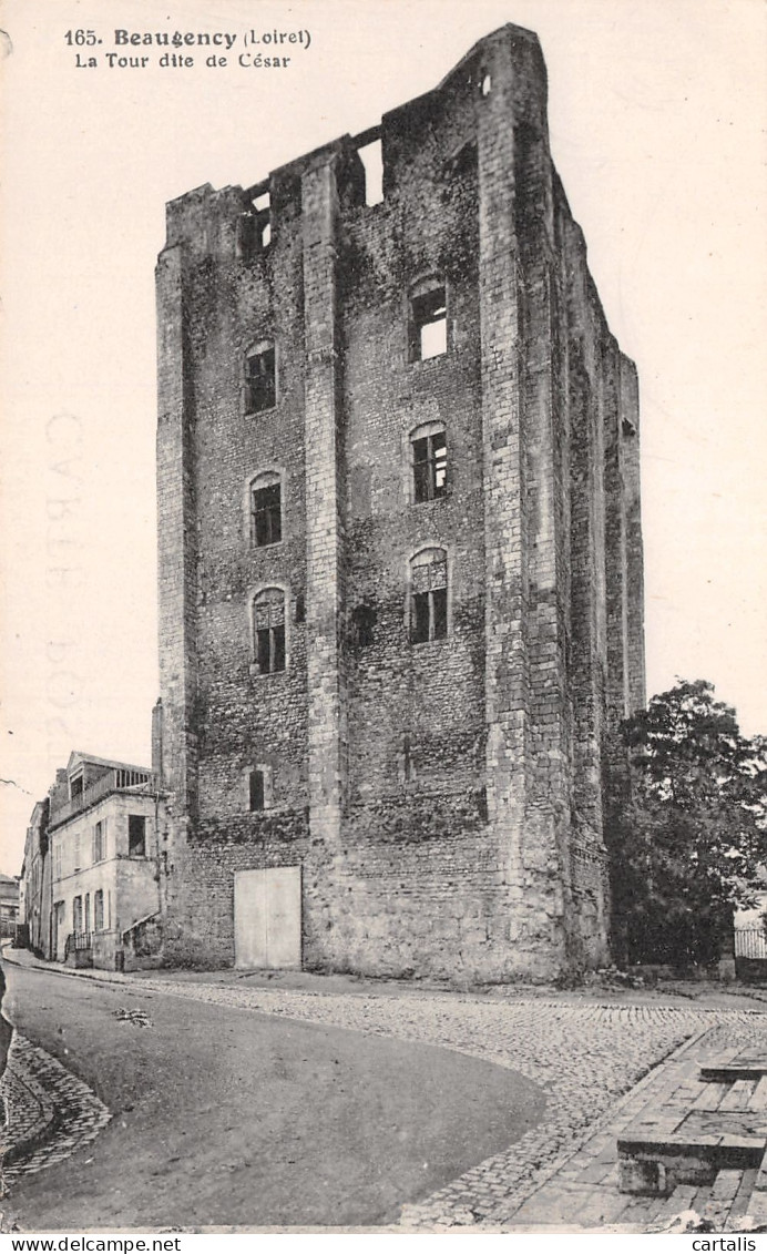 45-BEAUGENCY -N°C4091-E/0073 - Beaugency