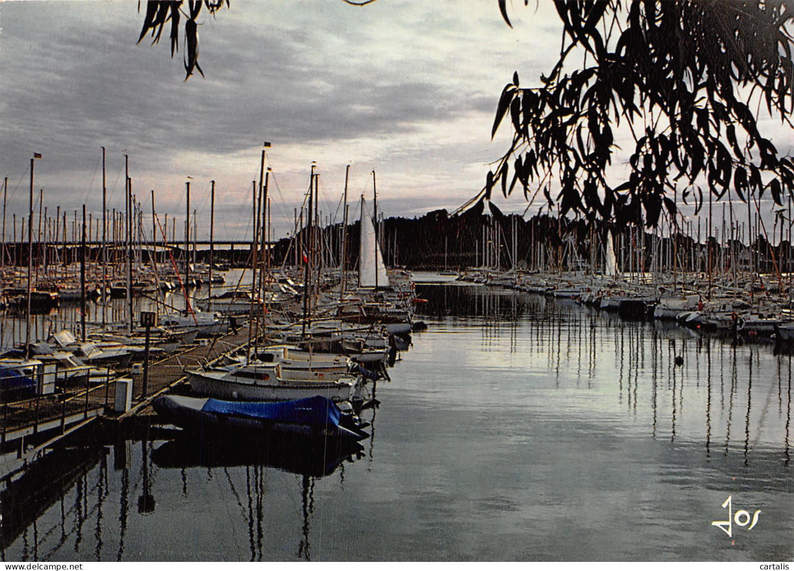 56-LA TRINITE SUR MER-N°C4092-B/0229 - La Trinite Sur Mer