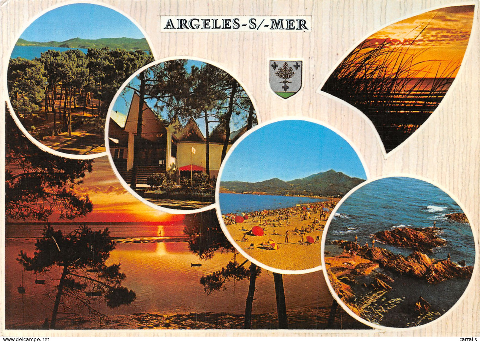 66-ARGELES SUR MER-N°C4094-B/0241 - Argeles Sur Mer