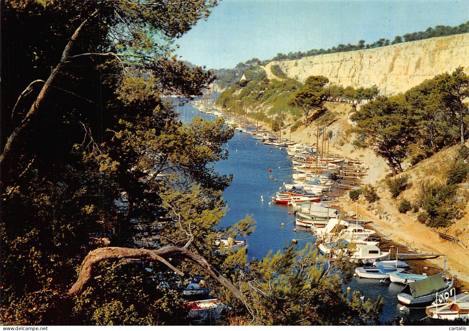 13-CASSIS-N°C4095-A/0393 - Cassis