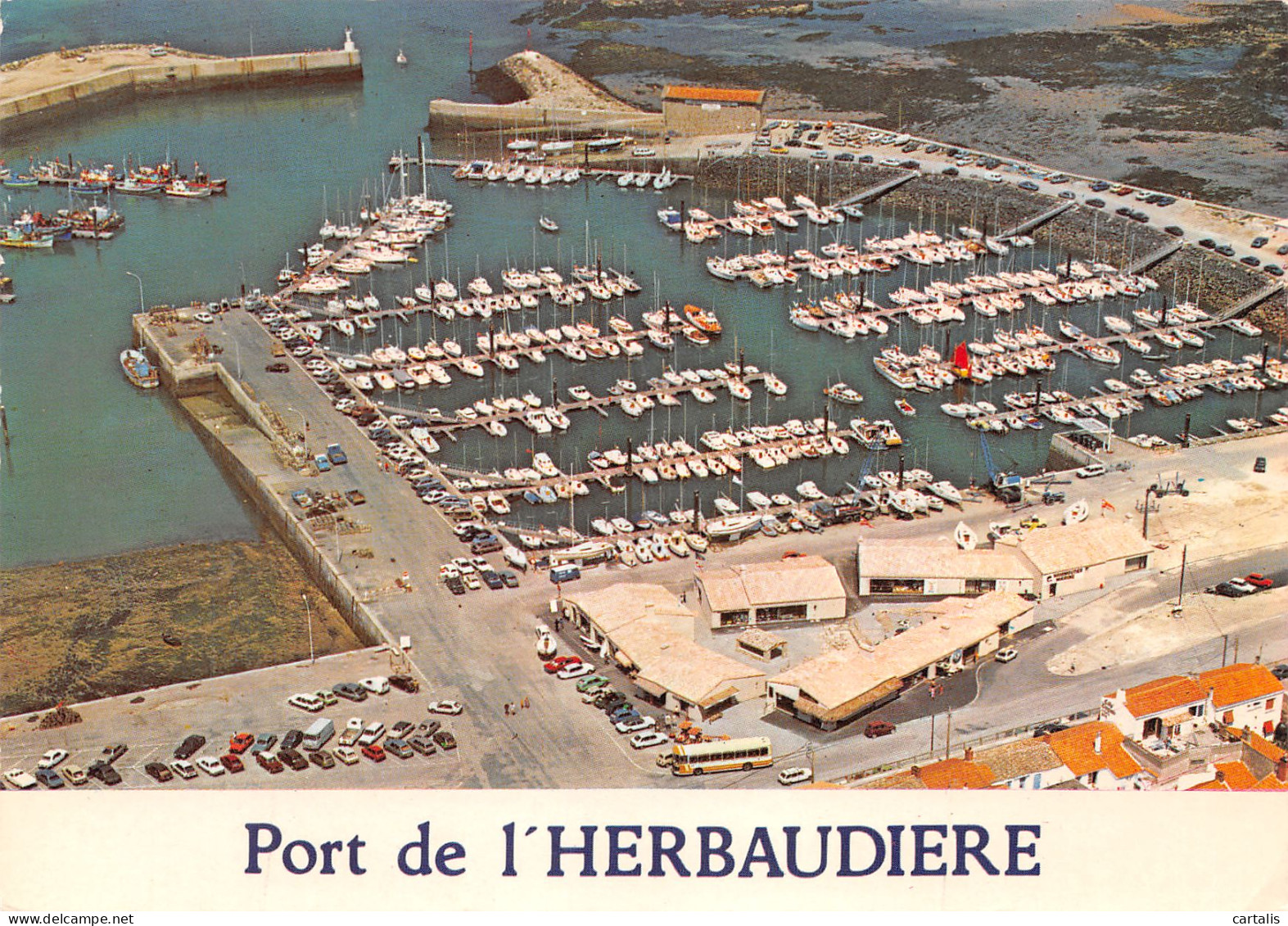 85-ILE DE NOIRMOUTIER L HERBAUDIERE-N°C4096-D/0383 - Ile De Noirmoutier