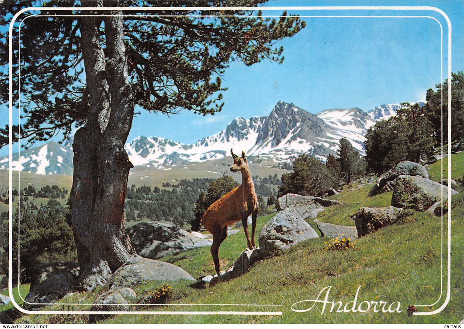 ET-VALLS D ANDORRA ENVALIRA-N°C4096-D/0327 - Andorra