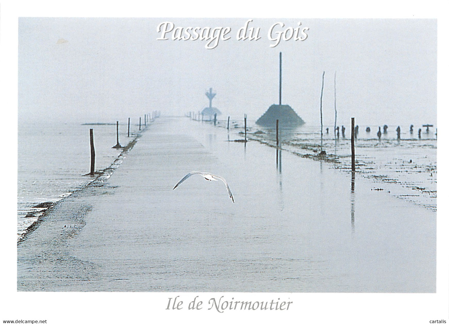 85-ILE DE NOIRMOUTIER -N°C4096-D/0095 - Ile De Noirmoutier