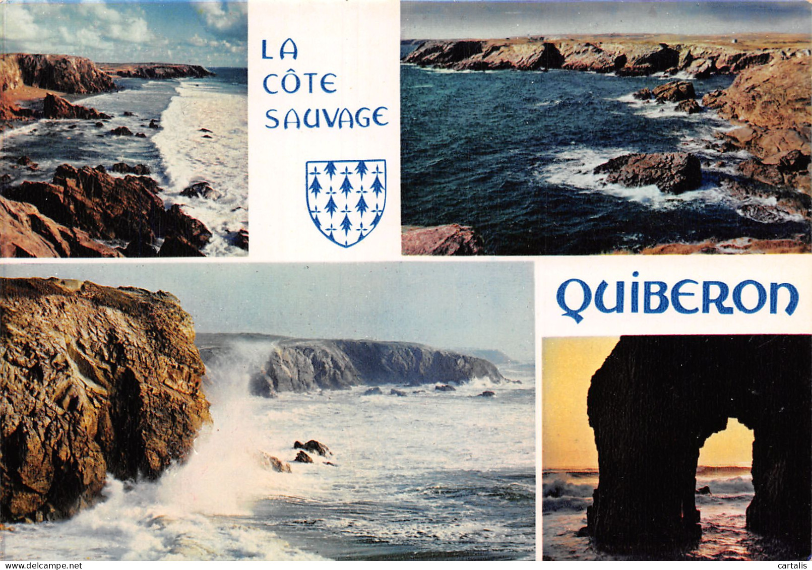 56-QUIBERON-N°C4097-A/0245 - Quiberon