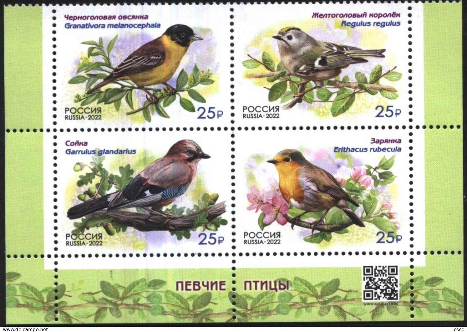Mint Stamps Fauna Birds  2022  From Russia - Pájaros Cantores (Passeri)