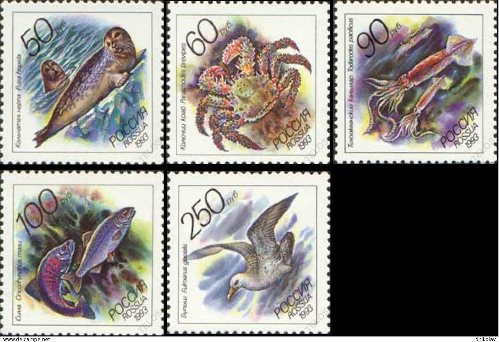 1993 316 Russia Marine Life MNH - Unused Stamps