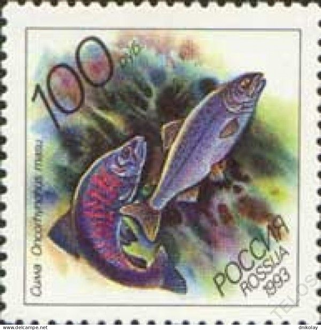 1993 316 Russia Marine Life MNH - Neufs