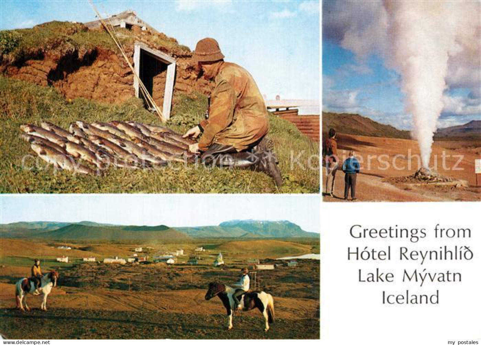 73603907 Myvatn Hotel Reynihlid Lake Myvatn Hot Springs Horses Fishing Myvatn - Iceland