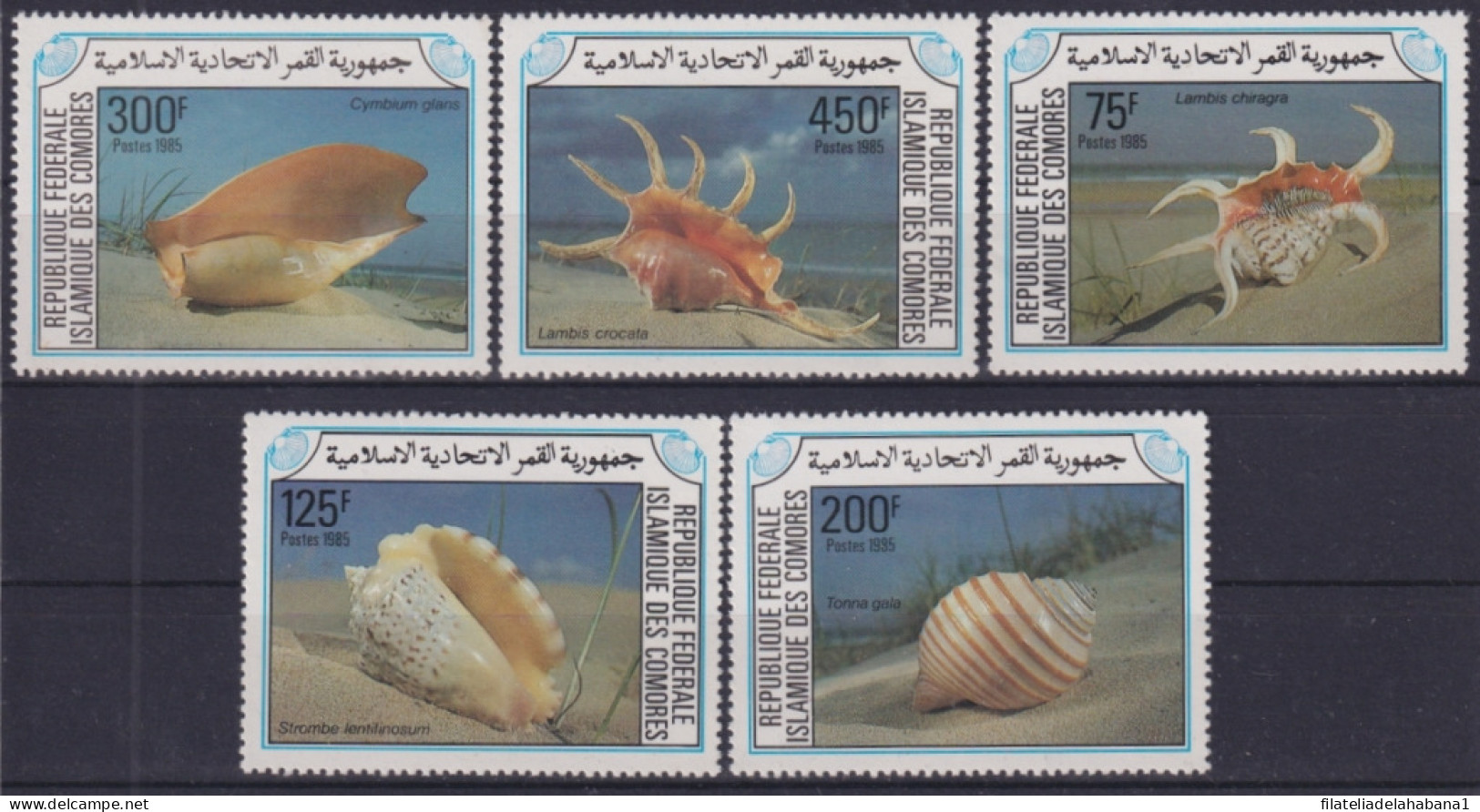 F-EX50192 COMORES MNH 1985 MARINE WILDLIFE SHELL SNAIL FISH CORAL REEF.  - Conchas