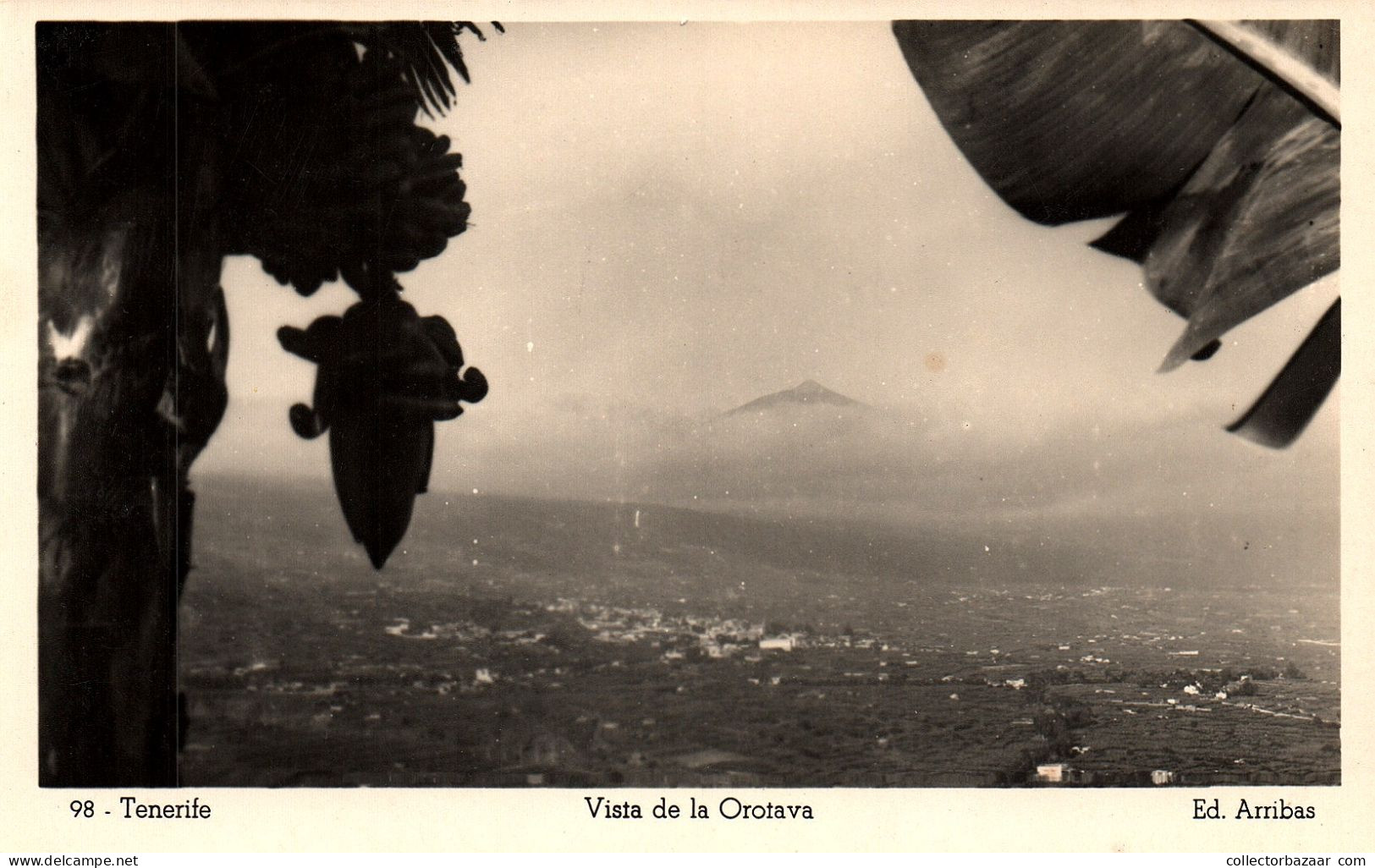 Spain Vista De La Orotava   Vintage Postcard  Real Photo - Tenerife