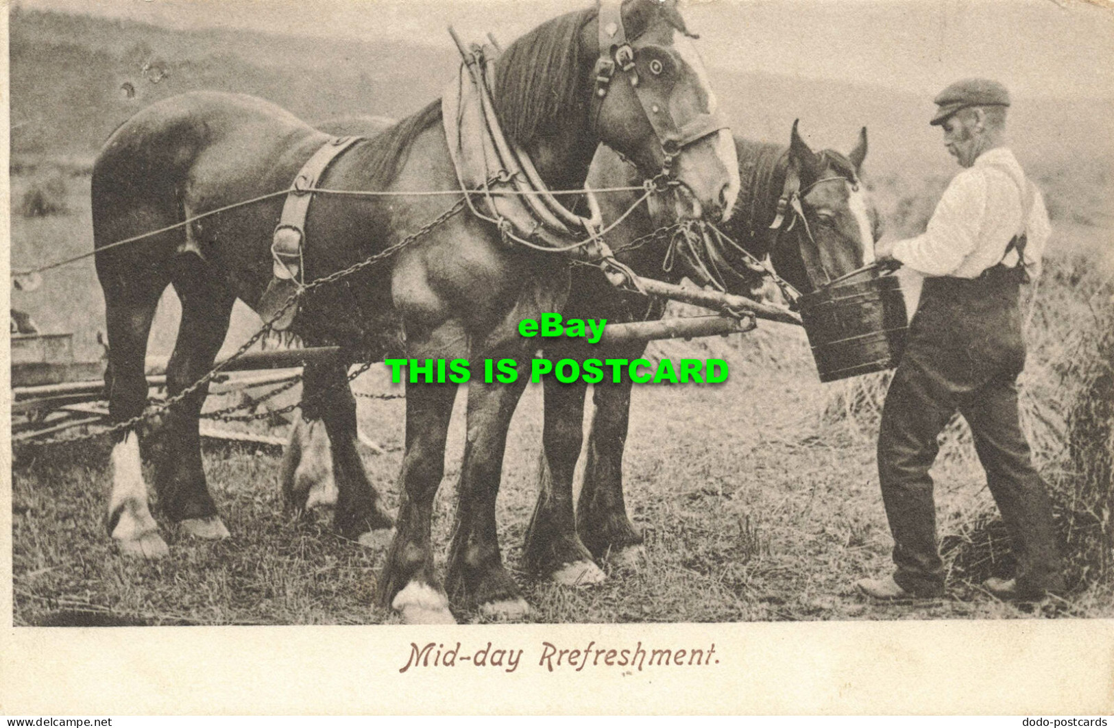 R597937 Mid Day Refreshment. Horses. Wrench Series. 1906 - Wereld