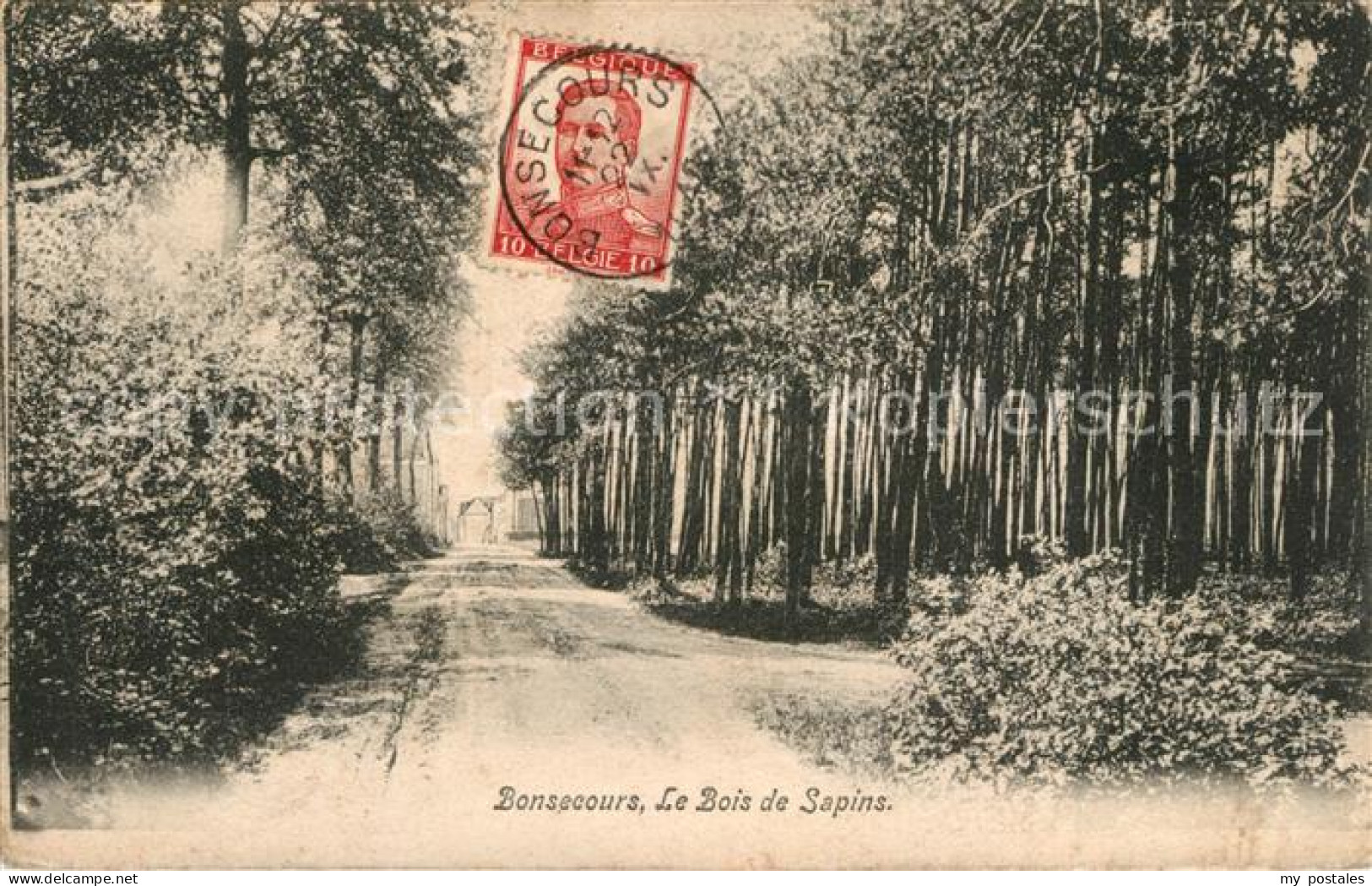 73603102 Bonsecours Belgien Bois De Sapins Bonsecours Belgien - Autres & Non Classés