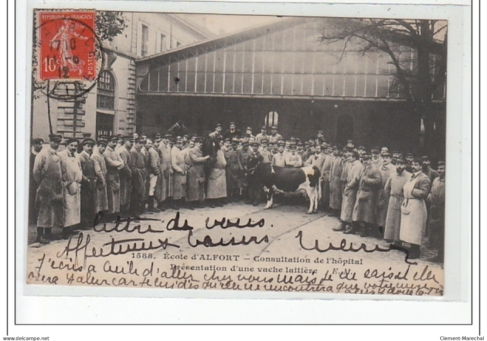 Ecole D'ALFORT - Consultation De L'hôpital - Présentation D'une Vache Laitière - Très Bon état - Maisons Alfort