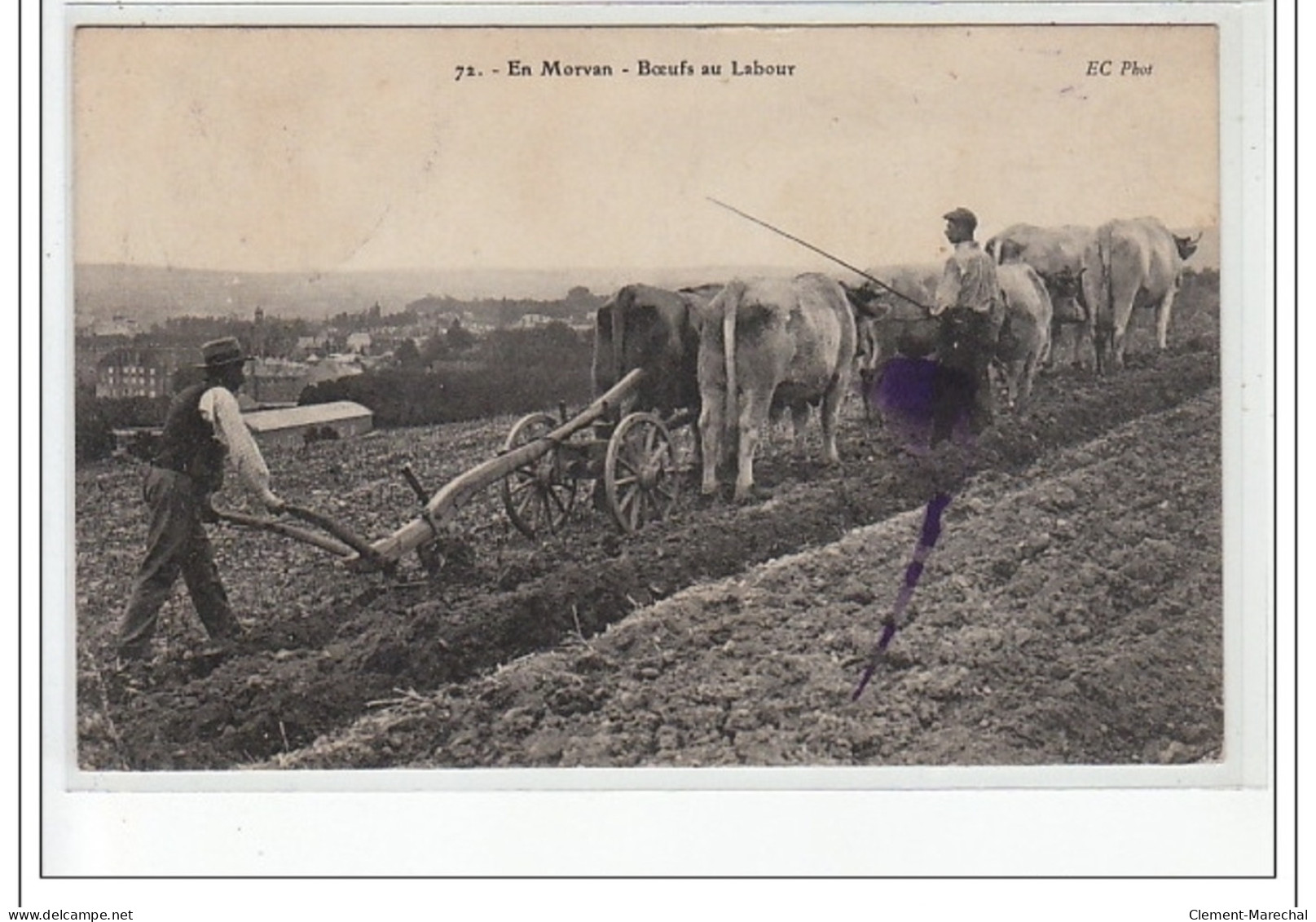 En MORVAN - Boeufs Au Labour - état - Other & Unclassified