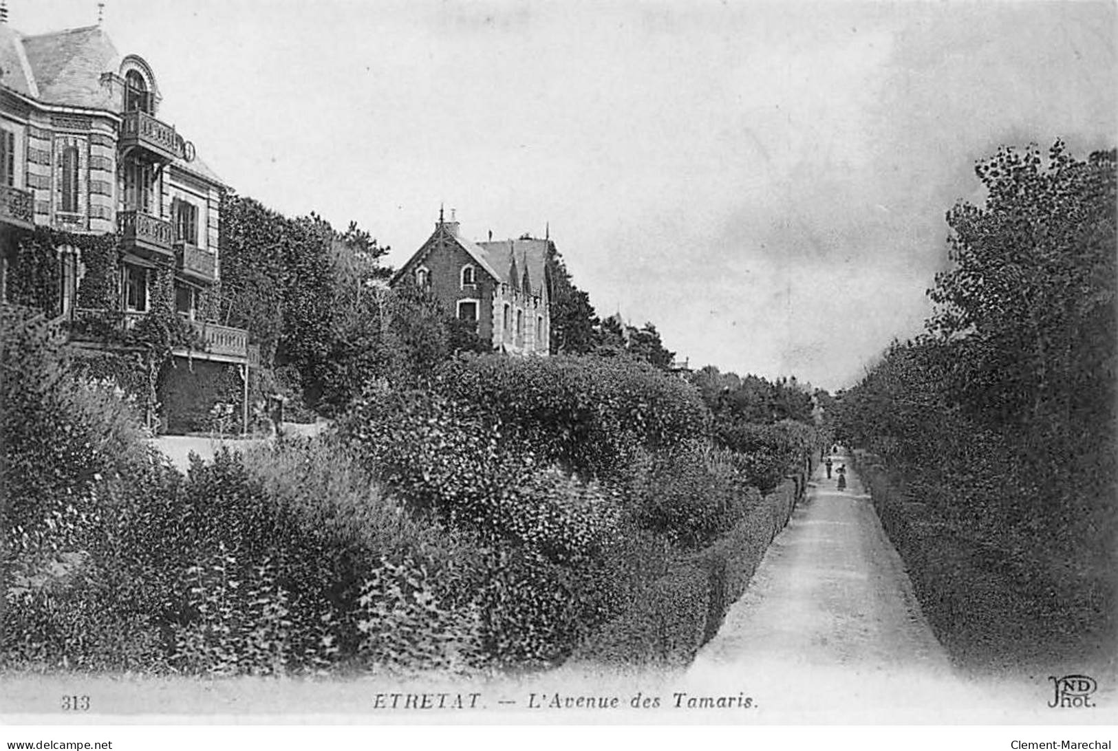 ETRETAT - L'Avenue Des Tamaris - Très Bon état - Etretat